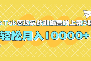 龟课TikTok变现实战训练营线上第3期，轻松月入10000+