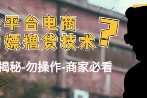 外面收费2980的全平台电商白嫖撸货技术（仅揭秘勿操作-商家防范必看）