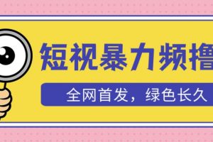 外面收费1680的短视频暴力撸金，日入300+长期可做，赠自动收款平台