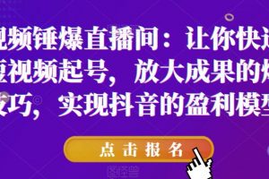 短视频锤爆直播间：让你快速学会短视频起号，放大成果的爆量技巧，实现抖音的盈利模型