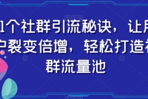 11个社群引流秘诀，让用户裂变倍增，轻松打造社群流量池