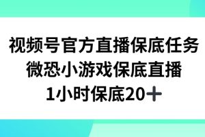 视频号直播任务，微恐小游戏，1小时20+【揭秘】