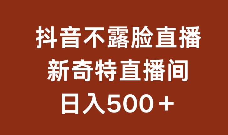 不露脸挂机直播，新奇特直播间，日入500+【揭秘】