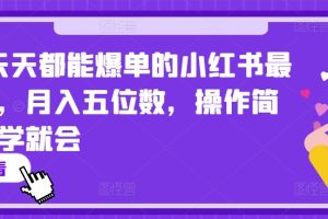 2024天天都能爆单的小红书最新玩法，月入五位数，操作简单，一学就会【揭秘】