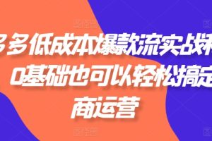 拼多多低成本爆款流实战私教课，0基础也可以轻松搞定电商运营