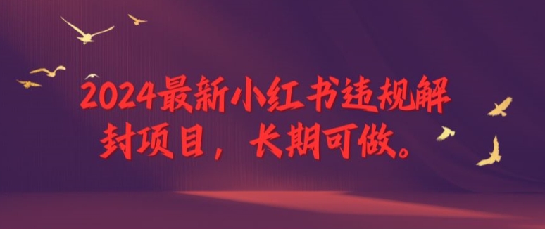 2024最新小红书违规解封项目，长期可做，一个可以做到退休的项目【揭秘】