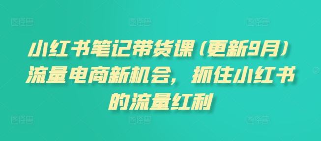 小红书笔记带货课(更新9月)流量电商新机会，抓住小红书的流量红利