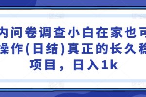 国内问卷调查小白在家也可批量操作(日结)真正的长久稳定项目，日入1k【揭秘】