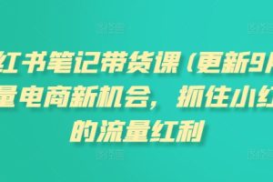 小红书笔记带货课(更新10月)流量电商新机会，抓住小红书的流量红利