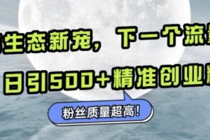 微信生态新宠小绿书：下一个流量洼地，日引500+精准创业粉，粉丝质量超高