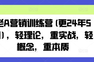 老A营销训练营(更24年11月)，轻理论，重实战，轻概念，重本质