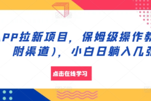 APP拉新项目，保姆级操作教程(附渠道)，小白日躺入几张【揭秘】