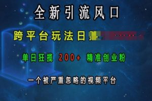 全新引流风口，跨平台玩法日入上k，单日狂揽200+精准创业粉，一个被严重忽略的视频平台