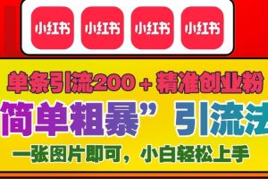 12月底小红书”简单粗暴“引流法，单条引流200+精准创业粉