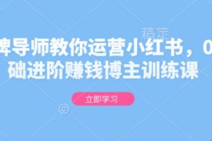 金牌导师教你运营小红书，0基础进阶赚钱博主训练课