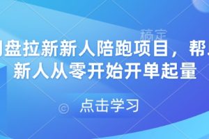 网盘拉新新人陪跑项目，帮助新人从零开始开单起量