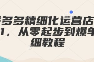 拼多多精细化运营店铺0-1，从零起步到爆单详细教程