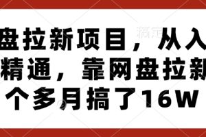 网盘拉新项目，从入门到精通，靠网盘拉新3个多月搞了16W