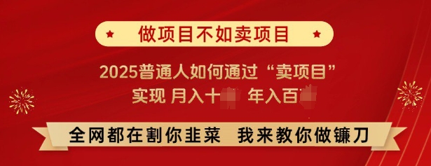 必看，做项目不如卖项目，2025普通人如何通过“卖项目”实现月入十个，年入百个