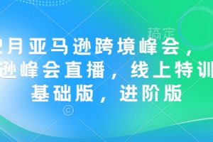 12月亚马逊跨境峰会， 亚马逊峰会直播，线上特训营基础版，进阶版