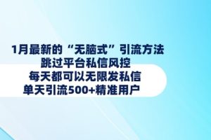 1月最新的无脑式引流方法，跳过平台私信风控，每天都可以无限发私信，单天引流500+精准用户