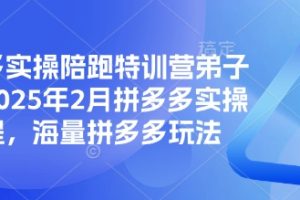 拼多多实操陪跑特训营弟子班，2025年2月拼多多实操课程，海量拼多多玩法