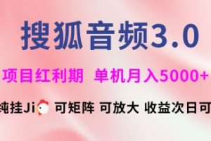 搜狐音频挂ji3.0.可矩阵可放大，独家技术，稳定月入5000+【揭秘】