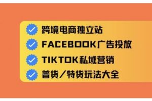 跨境电商独立站及全域流量营销，从0基础快速入门并精通跨境电商运营