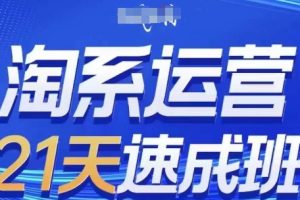 淘系运营21天速成班(更新25年2月)，0基础轻松搞定淘系运营，不做假把式