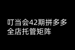 叮当会拼多多打爆班原创高阶技术第42期，拼多多全店托管矩阵