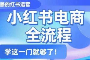 小红书电商全流程，精简易懂，从入门到精通，学这一门就够了