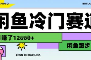 闲鱼冷门赛道，跑步挣钱，有人一个月挣了1.2w