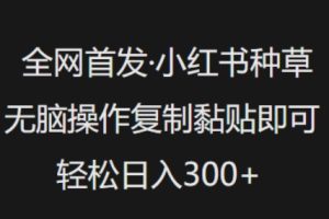 全网首发，小红书种草无脑操作，复制黏贴即可，轻松日入3张