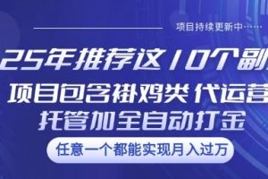 25年推荐这10个副业项目包含褂鸡类、代运营托管类、全自动打金类【揭秘】