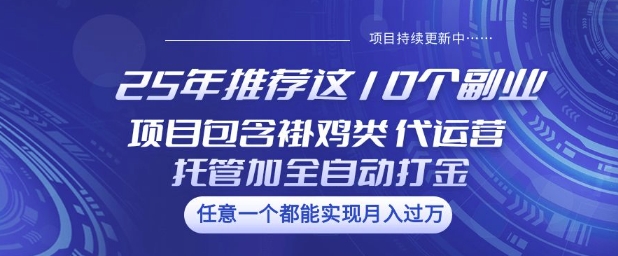 25年推荐这10个副业项目包含褂鸡类、代运营托管类、全自动打金类【揭秘】