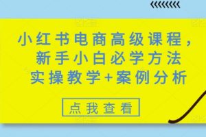 小红书电商高级课程，新手小白必学方法，实操教学+案例分析