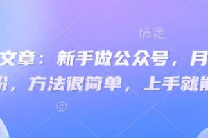 付费文章：新手做公众号，月涨几干粉，方法很简单，上手就能做